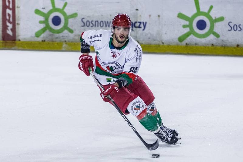 Ice Hockey. Polska Hokej Liga. Zaglebie Sosnowiec - GKS Katowice. 28.02.2022