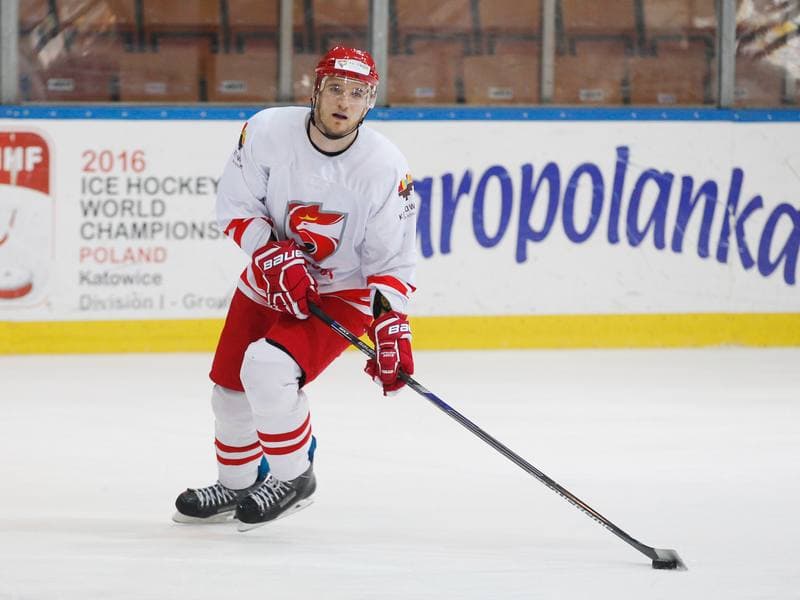 Ice Hockey. Poland national team. Training. 13.04.2016