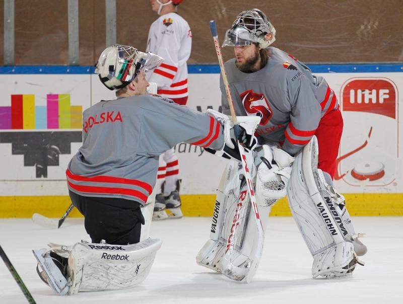 Ice Hockey. Poland national team. Training. 13.04.2016