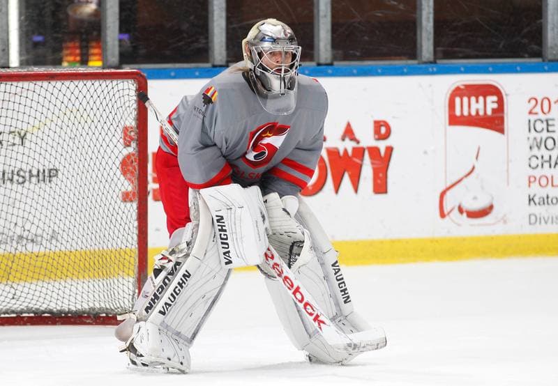 Ice Hockey. Poland national team. Training. 13.04.2016
