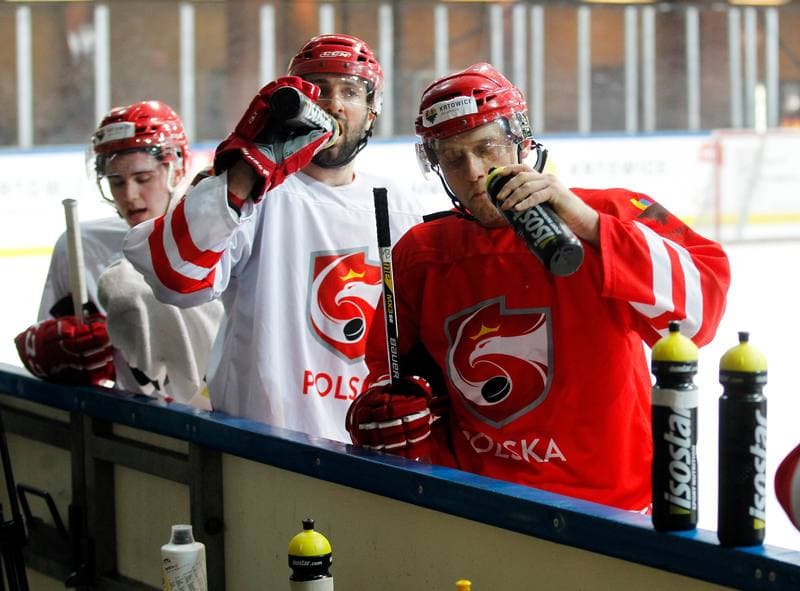Ice Hockey. Poland national team. Training. 13.04.2016