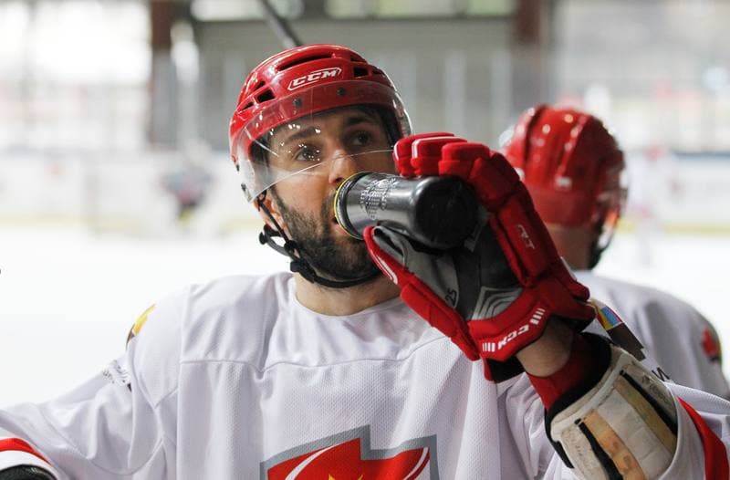 Ice Hockey. Poland national team. Training. 13.04.2016