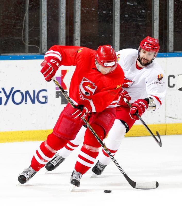 Ice Hockey. Poland national team. Training. 13.04.2016