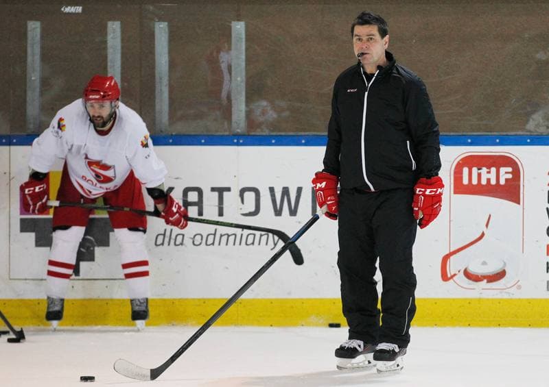Ice Hockey. Poland national team. Training. 13.04.2016