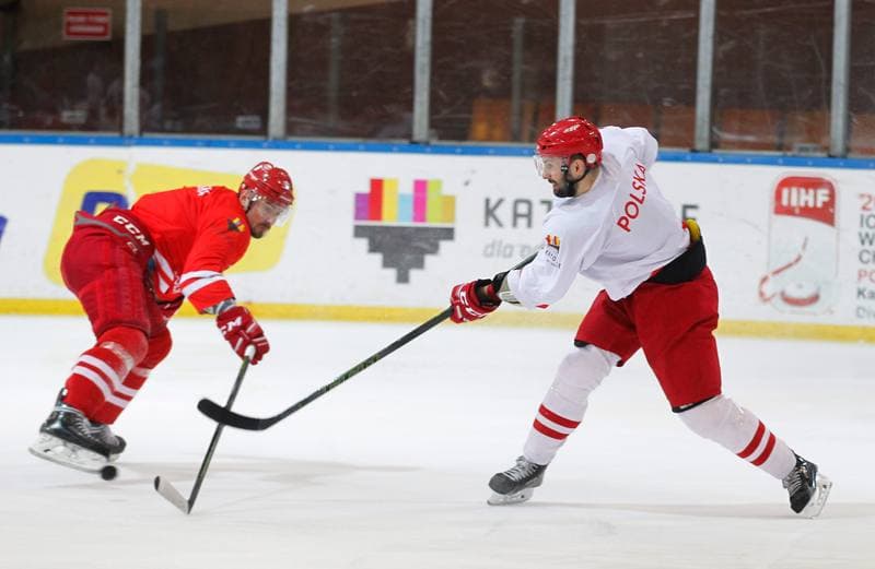 Ice Hockey. Poland national team. Training. 13.04.2016