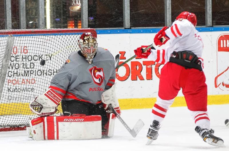 Ice Hockey. Poland national team. Training. 13.04.2016