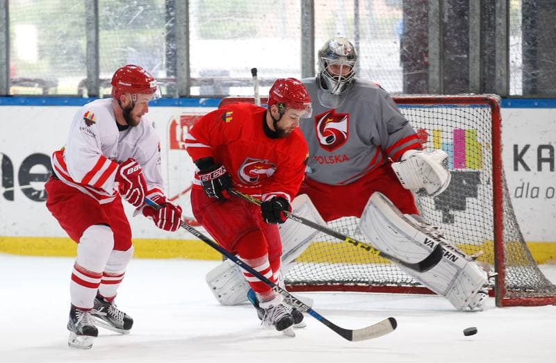 Ice Hockey. Poland national team. Training. 13.04.2016