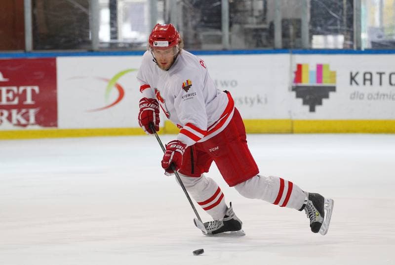 Ice Hockey. Poland national team. Training. 13.04.2016