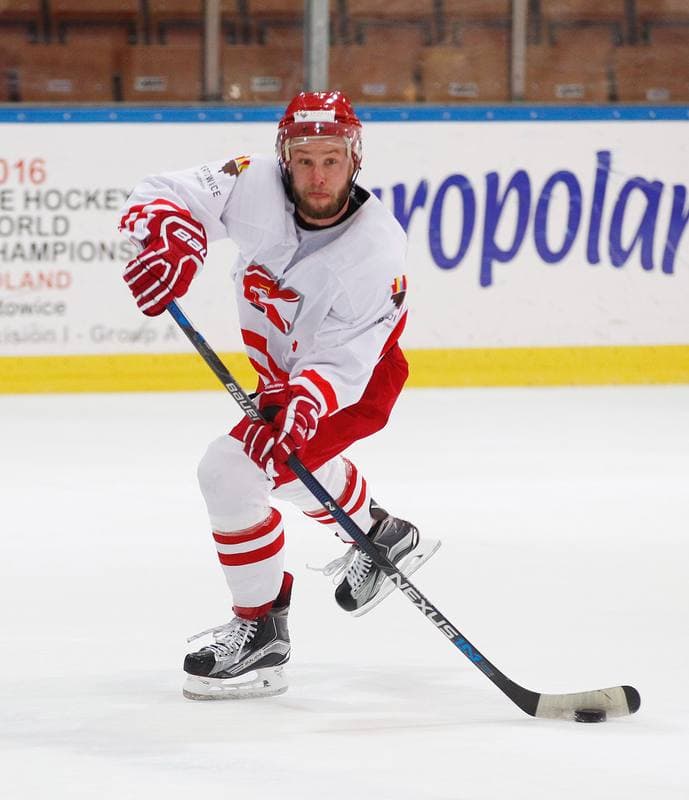 Ice Hockey. Poland national team. Training. 13.04.2016