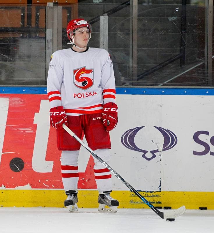 Ice Hockey. Poland national team. Training. 13.04.2016