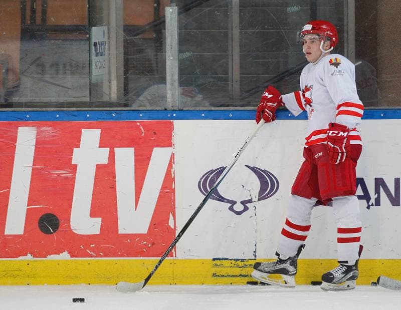 Ice Hockey. Poland national team. Training. 13.04.2016