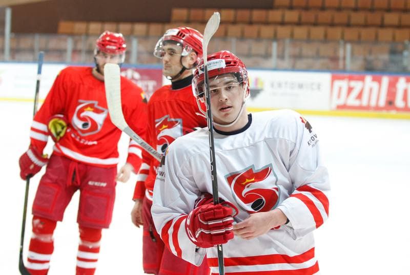 Ice Hockey. Poland national team. Training. 13.04.2016