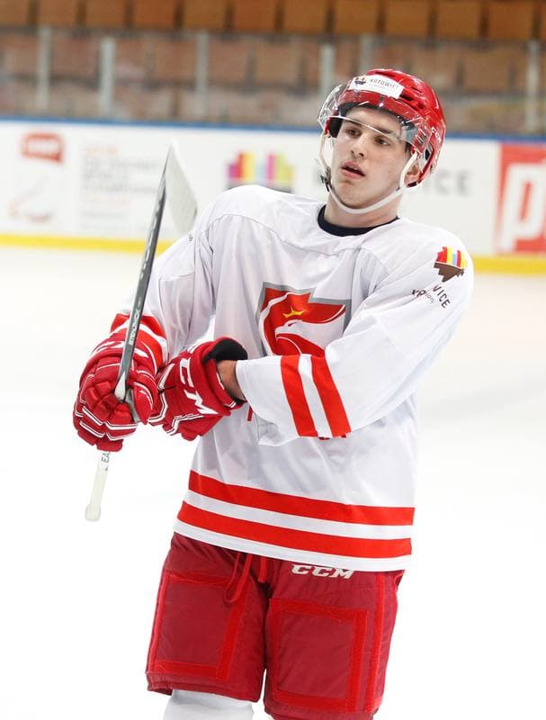 Ice Hockey. Poland national team. Training. 13.04.2016