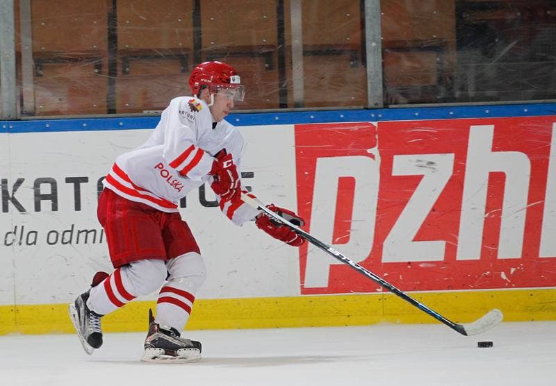 Ice Hockey. Poland national team. Training. 13.04.2016