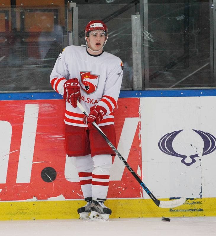 Ice Hockey. Poland national team. Training. 13.04.2016