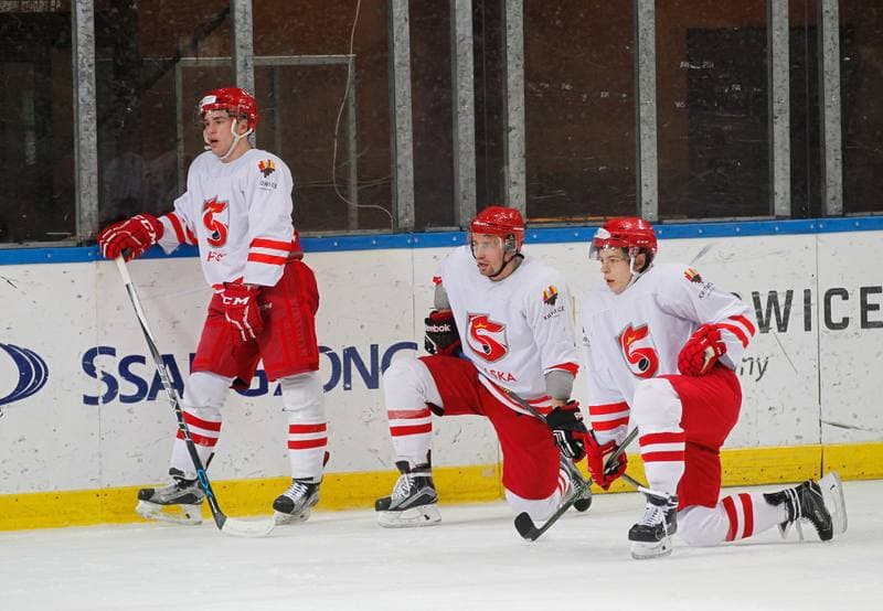 Ice Hockey. Poland national team. Training. 13.04.2016