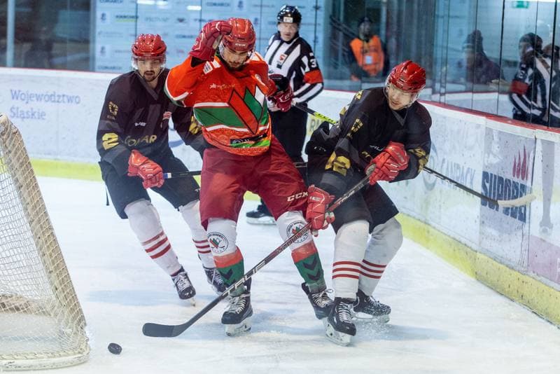 Ice Hockey. PHL. Comarch Cracovia - Zaglebie Sosnowiec. 02.11.2022
