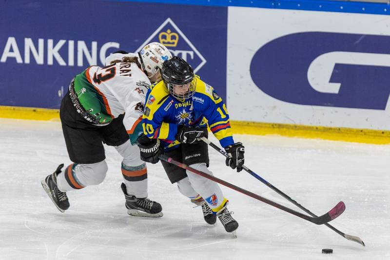 Ice Hockey. PLHK. Kojotki Naprzod Janow - MMKS Podhale Nowy Targ. 12.11.2022