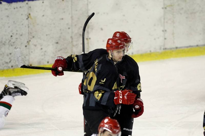 Ice Hockey. Polska Hokej Liga. Zaglebie Sosnowiec - Comarch Cracovia. 22.01.2019