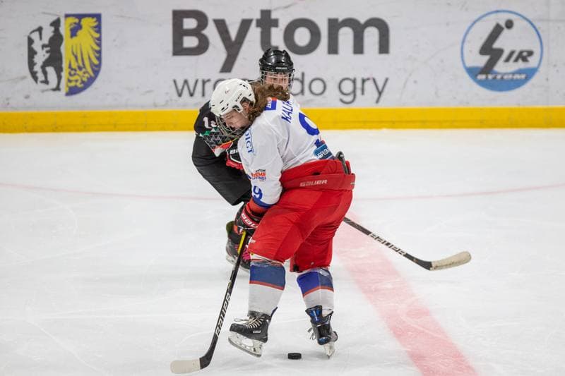 Ice Hockey. PLHK. Polonia Bytom - Atomowki GKS Tychy. 26.11.2022