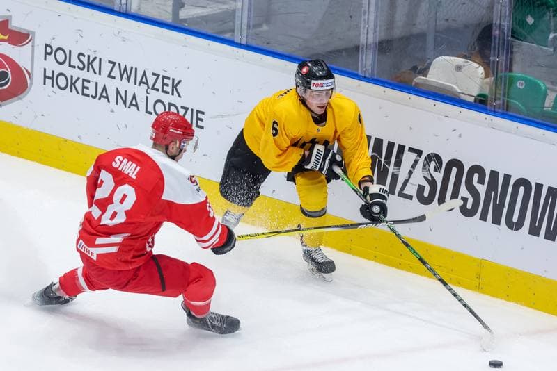 Ice Hockey. EIHC. Poland - Lithuania. 11.11.2023