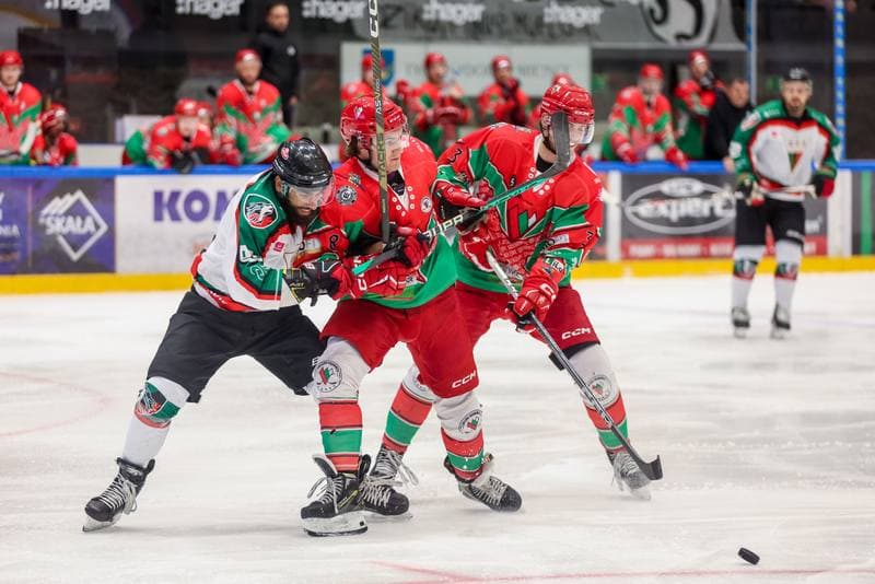 Ice Hockey. Tauron Hokej Liga. GKS Tychy - Zaglebie Sosnowiec. 15.11.2023
