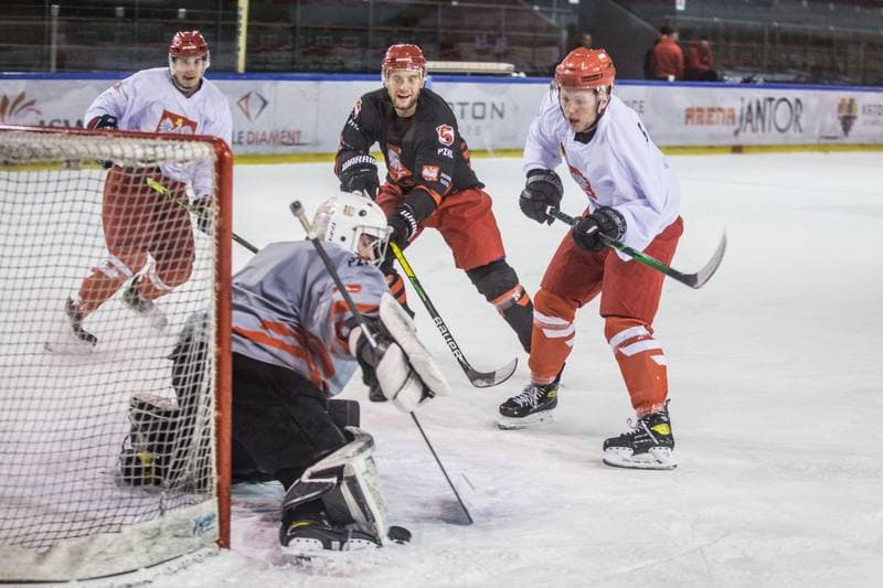 Ice Hockey. Poland national team. Training. 13.04.2021