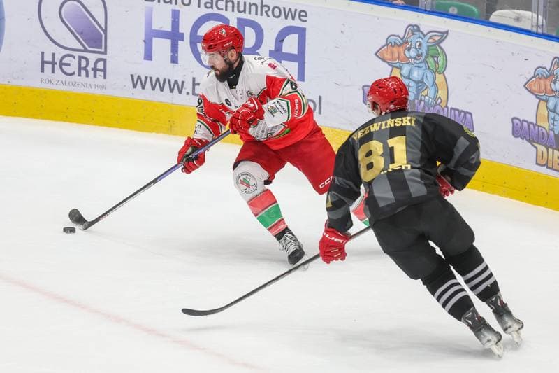 Ice Hockey. Tauron Hokej Liga. Zaglebie Sosnowiec - Comarch Cracovia. 19.11.2023