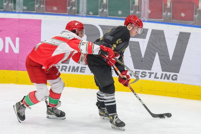 Ice Hockey. Tauron Hokej Liga. Zaglebie Sosnowiec - Comarch Cracovia. 19.11.2023
