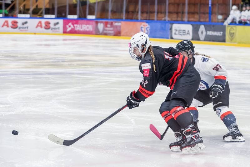 Ice Hockey. EWHL. Tauron Metropolia Silesia - Budapest Jegkorong Akademia. 21.10.2023