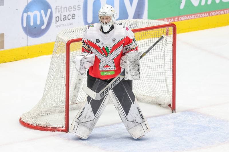 Ice Hockey. Tauron Hokej Liga. Zaglebie Sosnowiec - Comarch Cracovia. 19.11.2023
