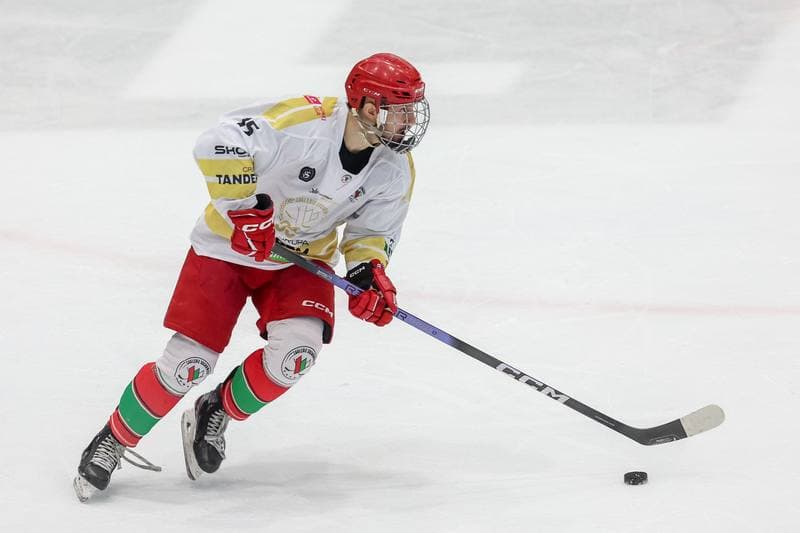 Ice Hockey. Tauron Hokej Liga. Zaglebie Sosnowiec - Marma Ciarko STS Sanok. 26.11.2023