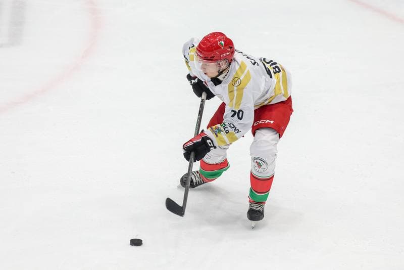 Ice Hockey. Tauron Hokej Liga. Zaglebie Sosnowiec - Marma Ciarko STS Sanok. 26.11.2023