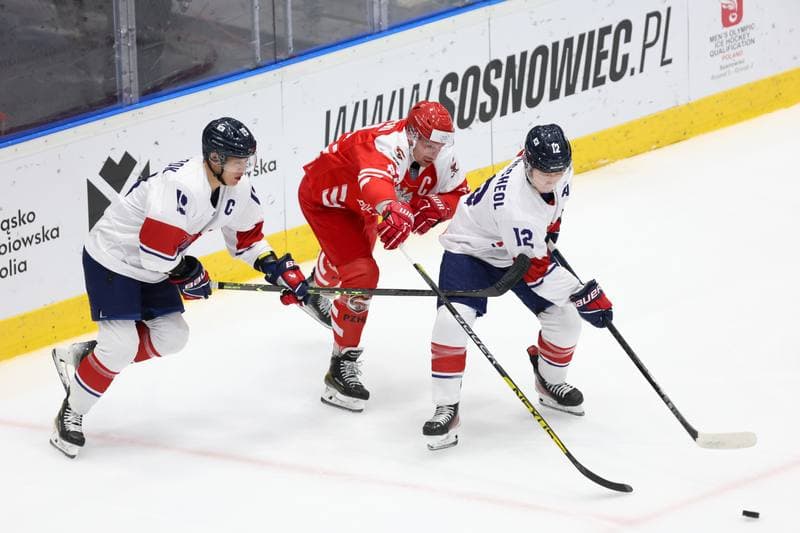 Ice Hockey. Olympic Qualification. Korea - Poland. 11.02.2024