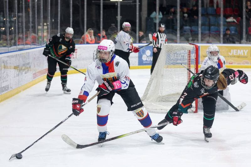 Ice Hockey. Tauron Liga Kobiet. BS Polonia Bytom - Kojotki Naprzod Janow. 16.03.2024