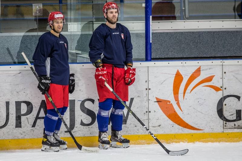 Ice Hockey. Poland national team. Training. 02.11.2020