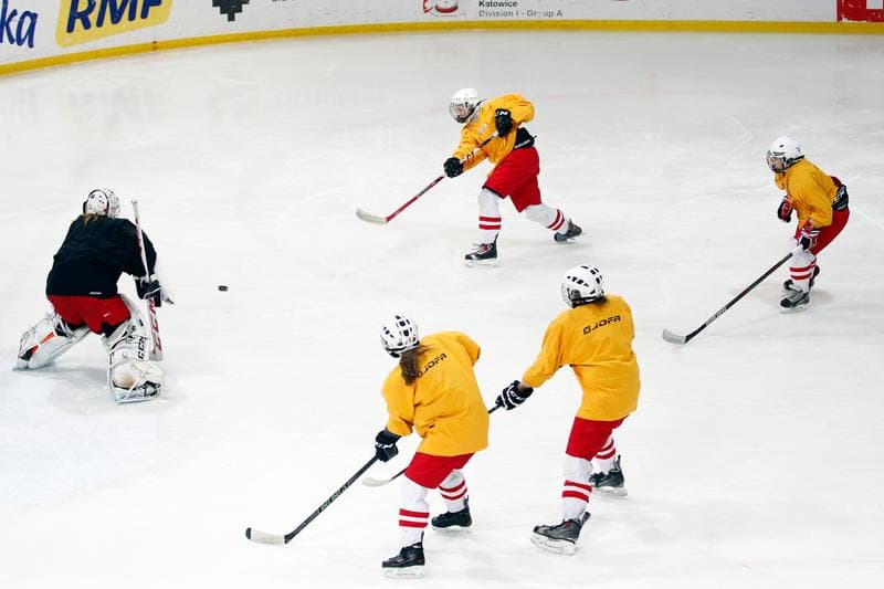 Ice Hockey. Poland Women's National Team. Training. 30.03.2016