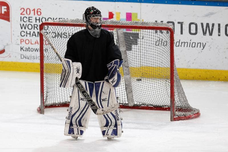 Ice Hockey. Poland Women's National Team. Training. 30.03.2016