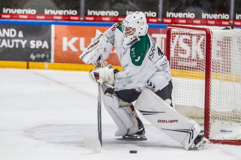 Ice Hockey. PHL. GKS Tychy - Zaglebie Sosnowiec. 18.01.2022
