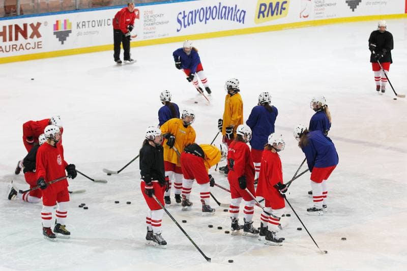 Ice Hockey. Poland Women's National Team. Training. 30.03.2016