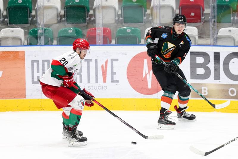 Ice Hockey. MHL. Zaglebie Sosnowiec - Naprzod Janow Katowice. 06.01.2024