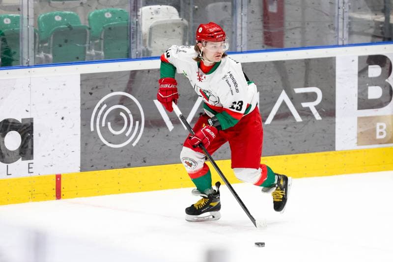 Ice Hockey. MHL. Zaglebie Sosnowiec - Naprzod Janow Katowice. 06.01.2024