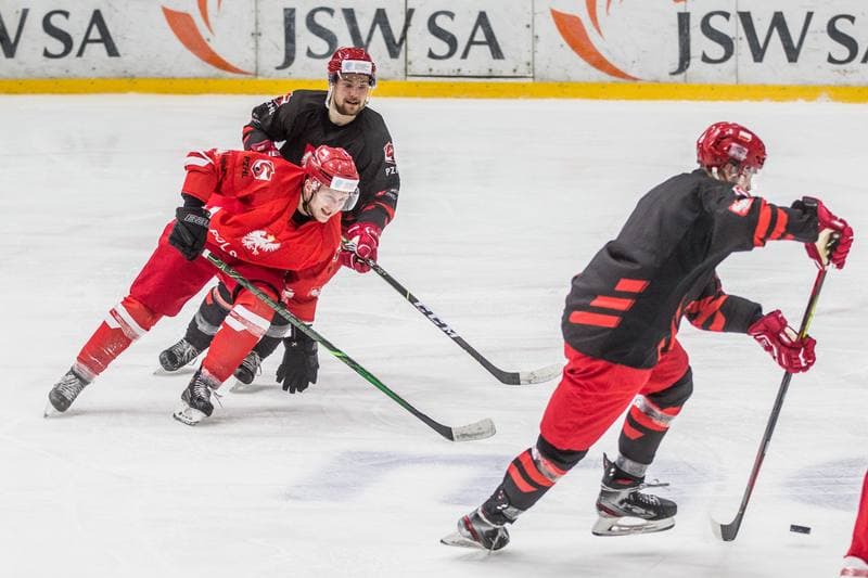Ice Hockey. Poland national team. Training. 06.05.2021