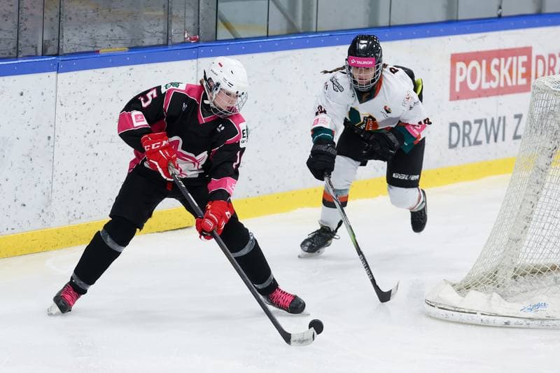 Ice Hockey. Tauron Liga Hokeja Kobiet. Kojotki Naprzod Janow - Kozice Poznan. 20.01.2024