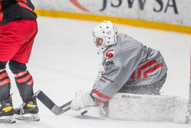 Ice Hockey. Poland national team. Training. 11.05.2021