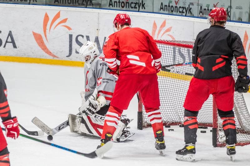 Ice Hockey. Poland national team. Training. 11.05.2021