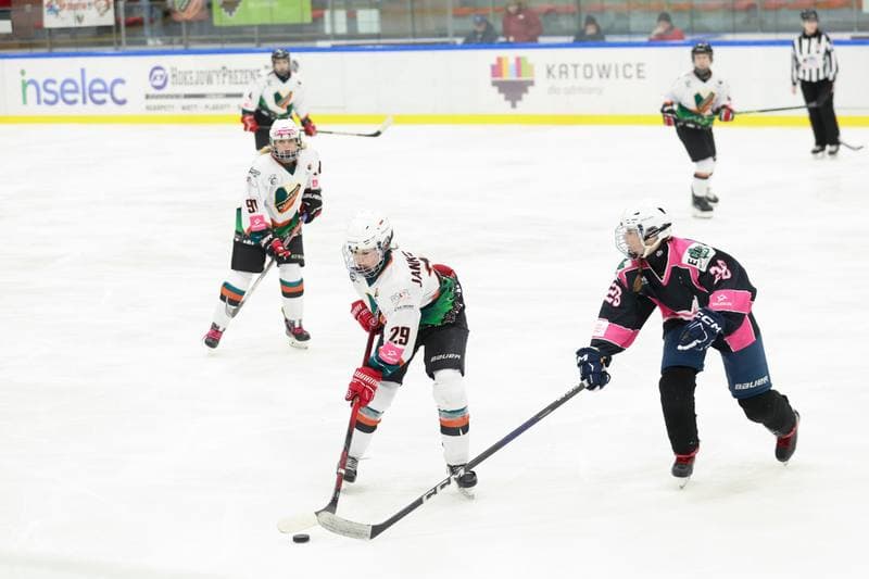 Ice Hockey. Tauron Liga Hokeja Kobiet. Kojotki Naprzod Janow - Kozice Poznan. 20.01.2024