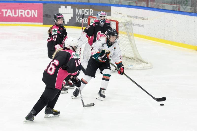 Ice Hockey. Tauron Liga Hokeja Kobiet. Kojotki Naprzod Janow - Kozice Poznan. 20.01.2024