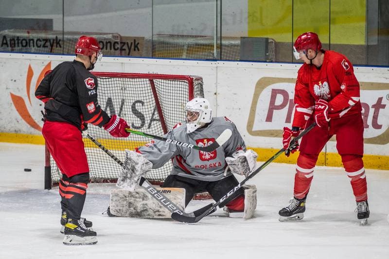 Ice Hockey. Poland national team. Training. 12.05.2021