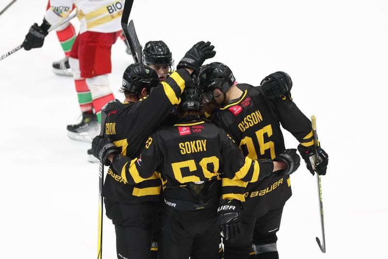 Ice Hockey. Tauron Hokej Liga. Zaglebie Sosnowiec - GKS Katowice. 21.01.2024